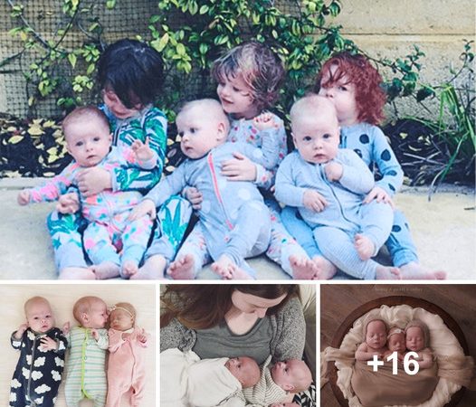 The Incredible Journey of Raising Six Children in Three Years