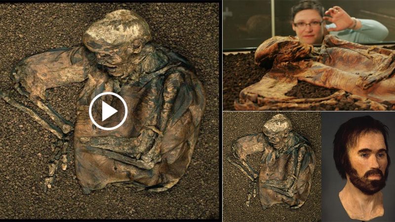 The Discovery of Lindow Man: An Ancient Bog Body Unearthed in England