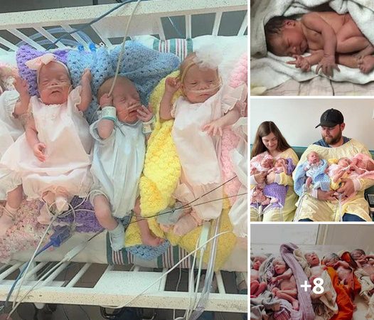 Mother Gives Birth to Group of Five Infants, Ranging from Twins to Quintuplets