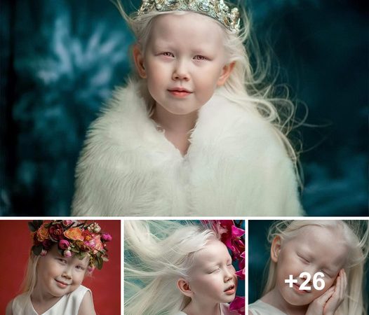 The Glamorous Luxury Of ‘Snow Princess’ And Glamorous White Hair