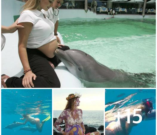 Title: Unconventional Midwifery: Welcoming Dolphins to the Birthing Experience