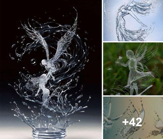 Unleashing Liquid Creativity: Exploring Innovative Water-Based Designs