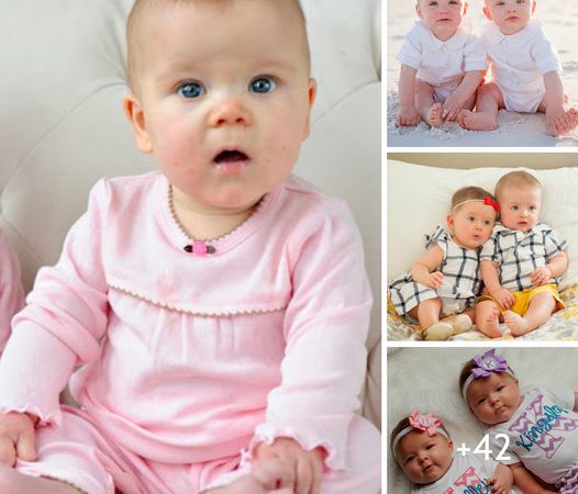 Double Delight: Enchanting Photographs of the Most Adorable Twin Baby Duo