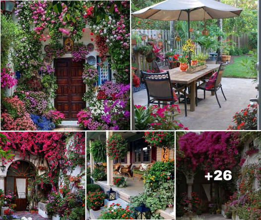 Elevate Your Outdoor Living: 30 Patio Ideas to Realize Your Ideal Outdoor Space