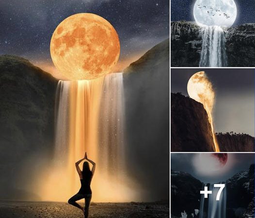 Moon Falls Nature: Where Untamed Beauty and Tranquility Converge