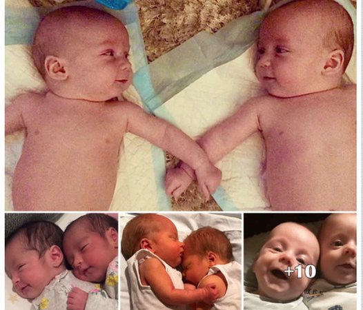 A Miraculous Arrival: Twins Born from Embryos Frozen for 30 Years