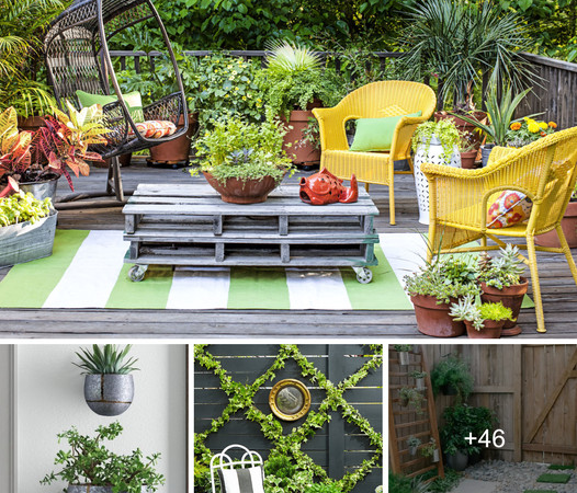 50 Enchanting Small Garden Concepts on a Budget