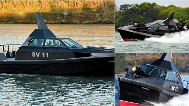 Barracuda Stealth Boat: Unleashing Unmatched Speed, Versatility, and Beyond