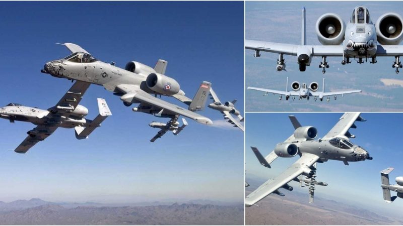 Exclusive Perspective: A-10 Warthog’s Unbeatable Advantage in Dogfights, Direct from Fighter Pilots