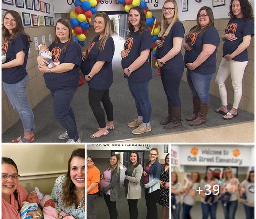 Baby Boom Alert: Seven Teachers Expecting at Local Kansas School