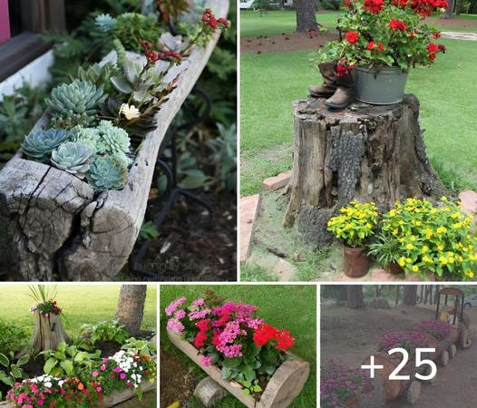 25 Innovative Ideas for Elevating Your Garden with Tree Trunks