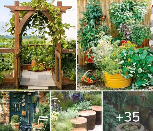 35 Enchanting Garden Concepts to Take Your Outdoor Space to the Next Level