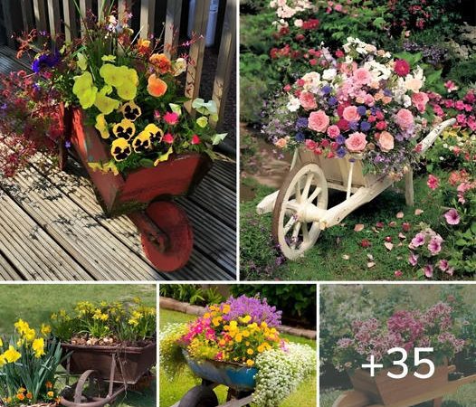 35+ Stunning Wheelbarrow Planter Ideas to Enhance Your Garden