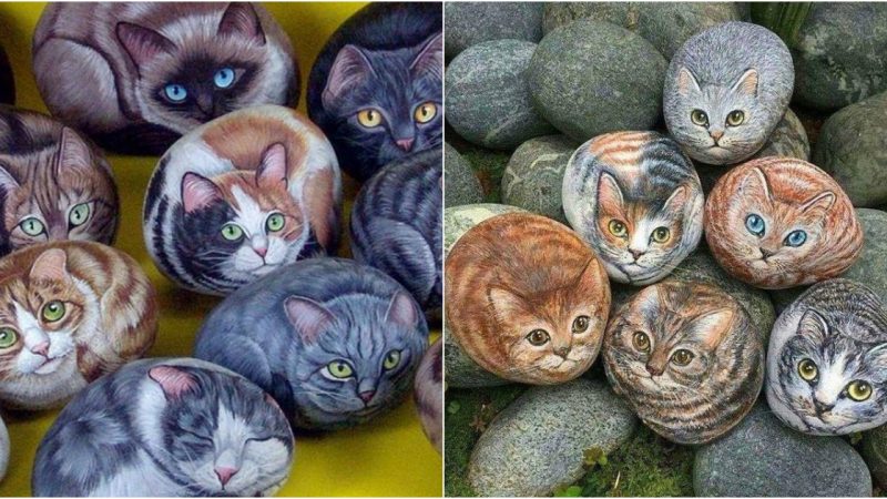 Revealing Extraordinary Artistry: Transforming Ordinary Rocks into Works of Art