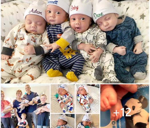 A Quadruple Dose of Joy: Texas Family Welcomes Four New Members