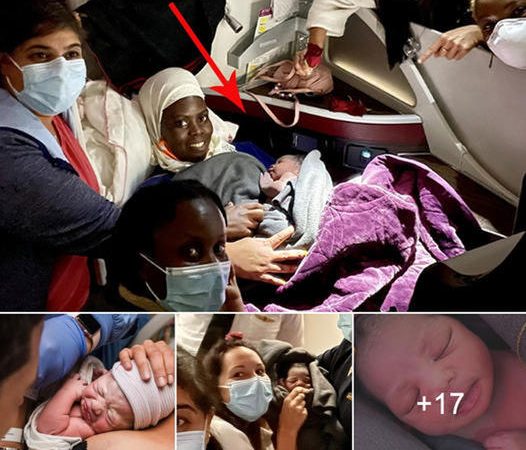 The Remarkable Transformation of Newborns During Their First Hour