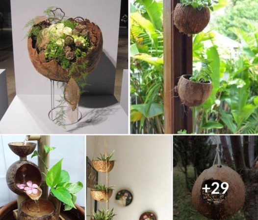 Unveiling the Enchanting World of Coconut Shell Decor: Elevate Your Home’s Aesthetic!