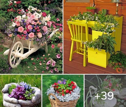 Explore 39 Creative DIY Garden Container Ideas for Your Unique Space
