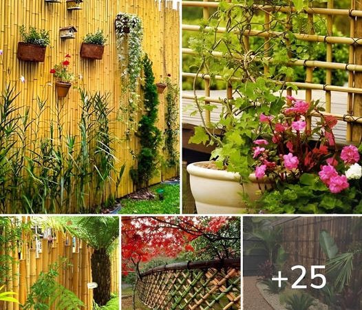 25 Creative Bamboo Fence Designs for a Rustic Home Decor
