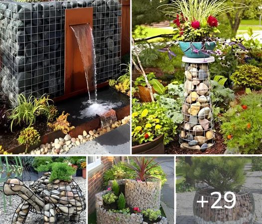 29 Creative Gabion Planter Designs for Your Garden