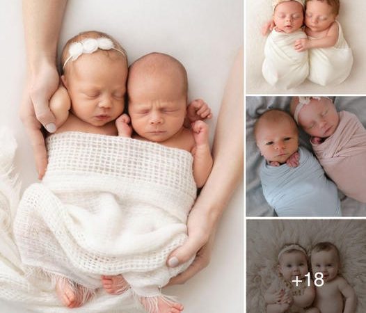 The Unique Bond and Growth of Twins: From Conception to Individuality