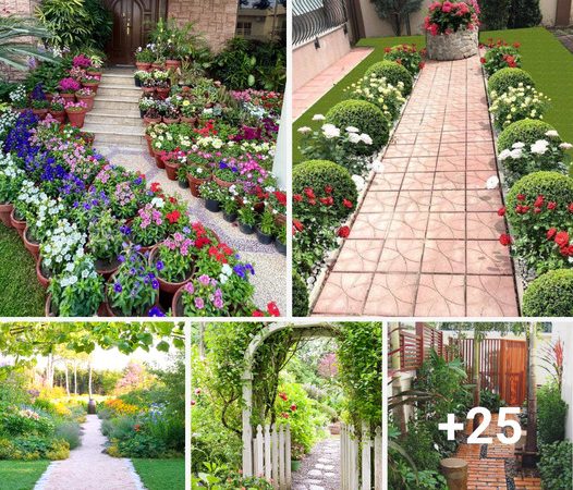 35 Inspiring Pathway Ideas to Enhance Your Home Garden