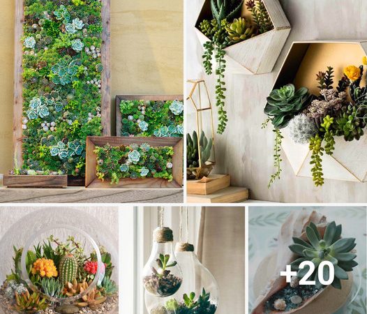 20 Creative Ways to Decorate Your Succulent Garden