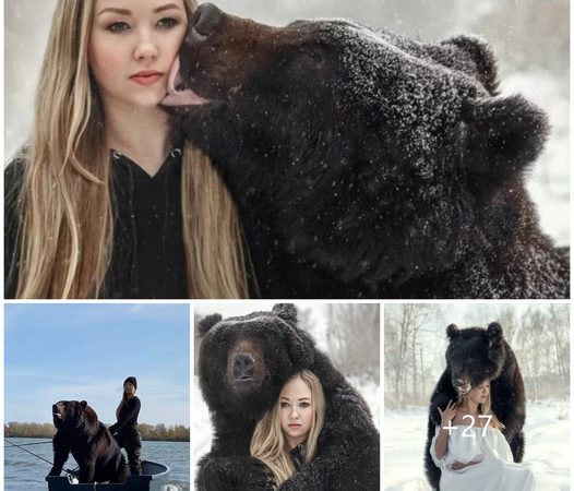 A Heartwarming Tale of Friendship: A Woman’s Unbreakable Bond with an Adopted Bear