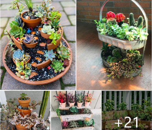 Elevate Your Garden: 25 Ingenious Tiered-Planter Ideas