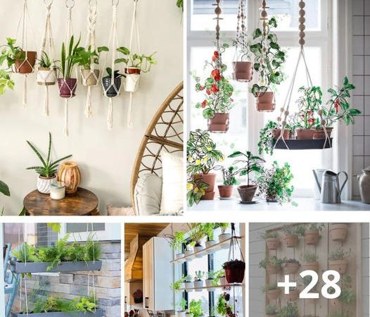 Elevate Your Space with Stunning Hanging Planter Inspirations