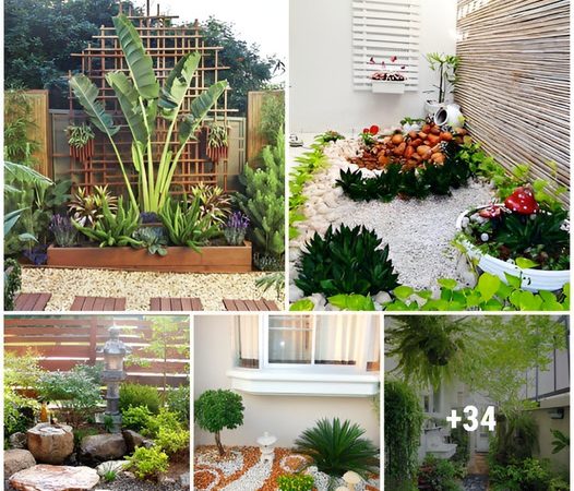 Elevate Your Home’s Charm with 38 Innovative Small Garden Ideas