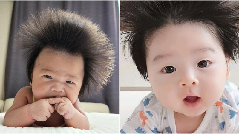 Whimsical Wonders: Unraveling the Enchanting Mystery of Babies’ Hedgehog-Like Hair