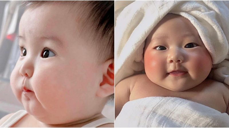 Chubby Cheeks Chronicles: Exploring the Endearing Allure of Adorable Infants