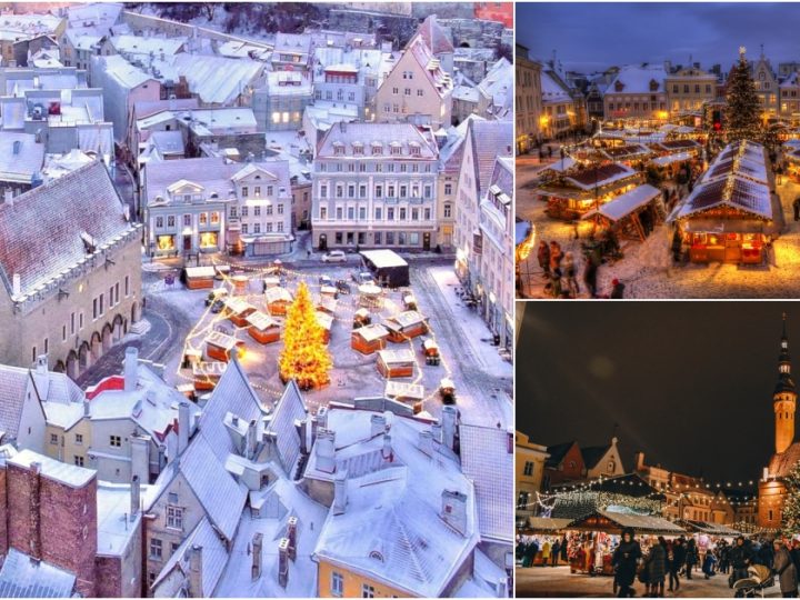 Christmas Market in Vanalinn: Festivities at Tallinn’s Historic Town Hall Square, Estonia