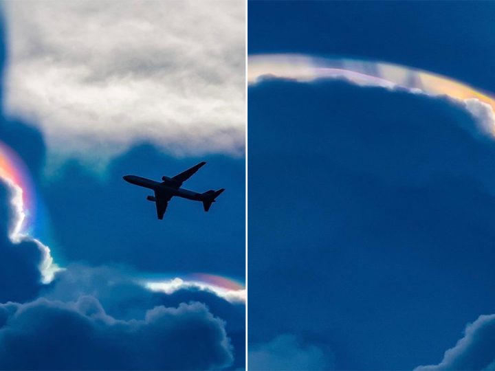 Discovering the Enchanting Iridescent Pileus: A Rare Phenomenon in the Sky