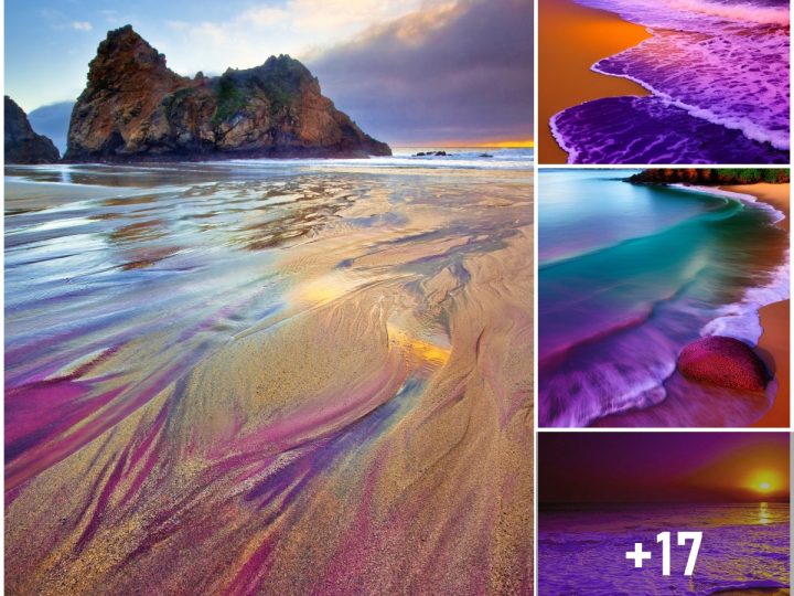 The Bizarre Beach Where the Sand is Purple – Nature’s Unique Wonder