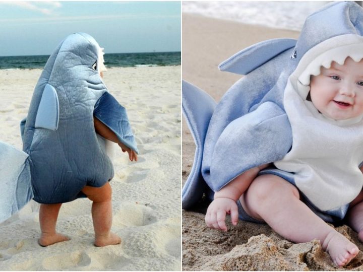 Adorable baby shark: Most popular on social networks right now