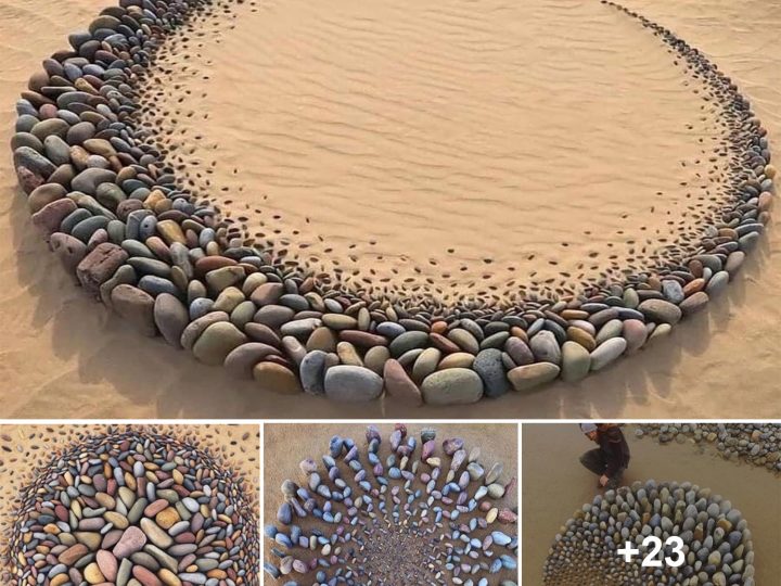 Stone Waves: Hypnotic Land Art Arranged by Artist on Ocean Shores