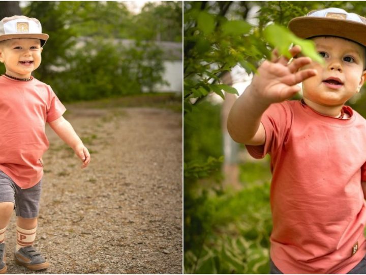 The Enchanting Adventure of a Cute Little Boy Walking into the Forest