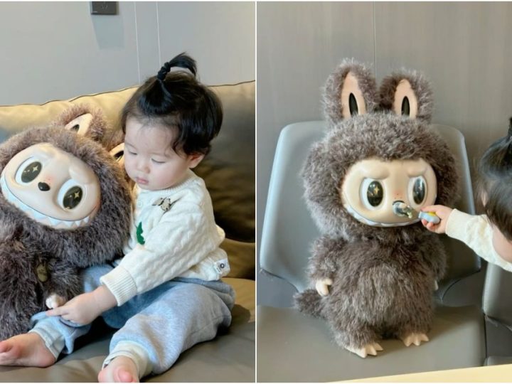Baby and His Doll Labubu: The Adorable Duo Taking the Internet by Storm