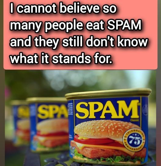 Uncovering the Secrets of SPAM: A Cultural Icon