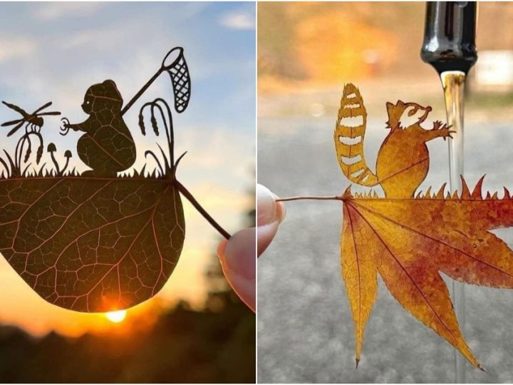 Lito Leaf: A Leaf-Cutting Artist Turning ADHD into Art