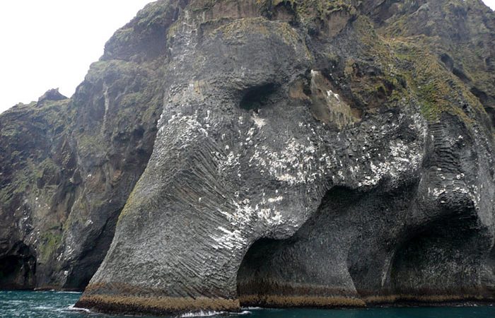 Giant Sea Elephant Emerges From the Ocean in Iceland 🐘🐘