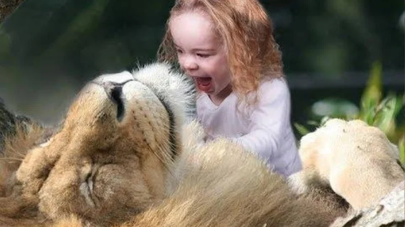 Miraculous lion saves little girl from human traffickers