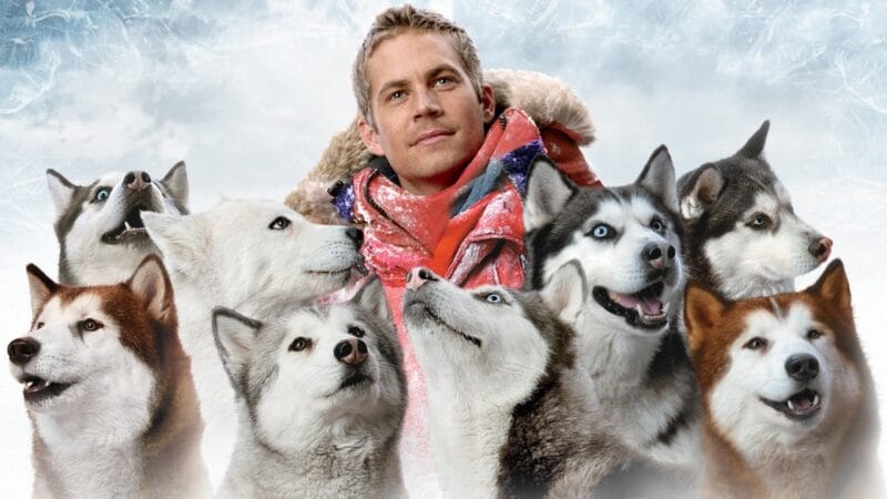 🎬 Eight Below (2025) — Brave Hearts, Frozen Earth, and the Bond That Defies Ice