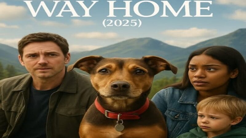 🎬 A Dog’s Way Home (2025) — Loyalty, Family, and the Journey of Love