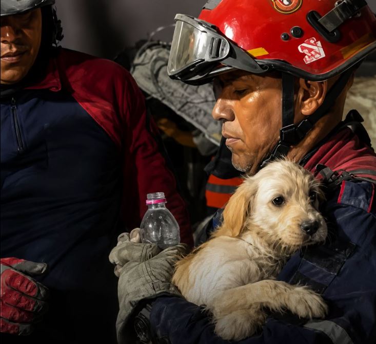 THIS TINY PUPPY WAS PULLED FROM EARTHQUAKE RUBBLE IN CARACAS AND FOUND SAFETY IN A RESCUER’S ARMS